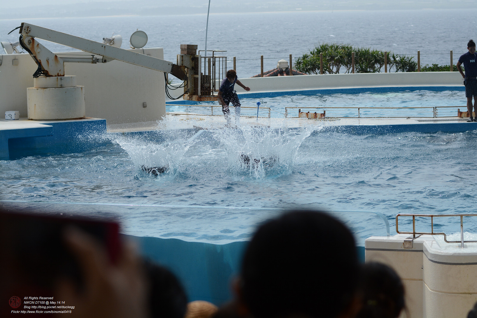 DSC_3091.jpg